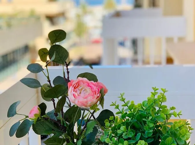 Apartment Solana Tulipanes Parking Pool Terrace *